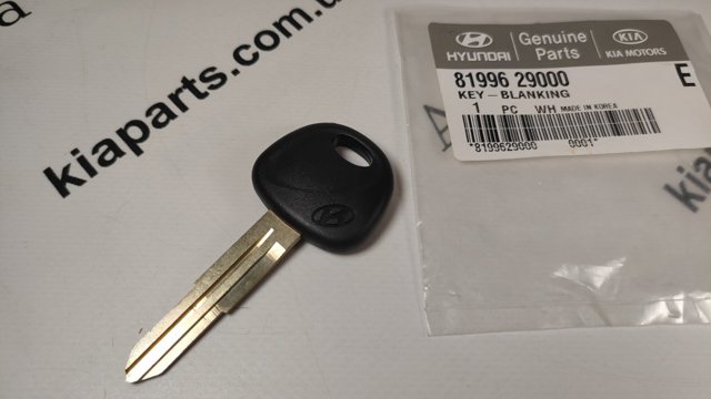 8199629000 HYUNDAI Ключ-заготовка купить в Черновцы