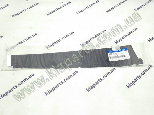 863813X000 HYUNDAI купить в Житомир