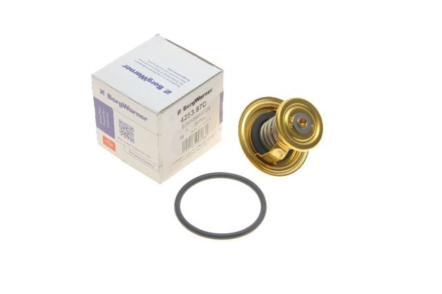 WAHLER 425387D Термостат в наличии Днепр