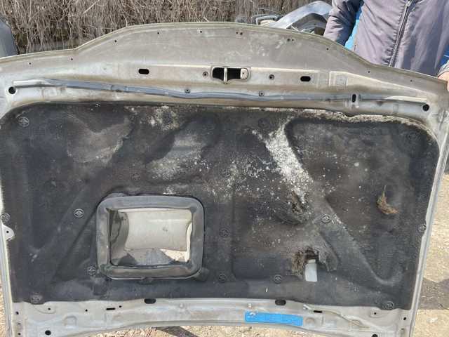 NISSAN 651002X030 Капот в наличии Каменское