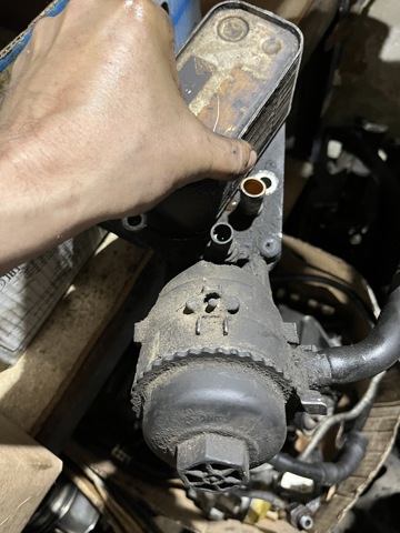 OPEL 6740230110 Радиатор масляный (холодильник), под фильтром в наличии Кривой Рог