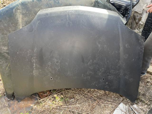 F5100EQ0MM NISSAN Капот купить в Запорожье