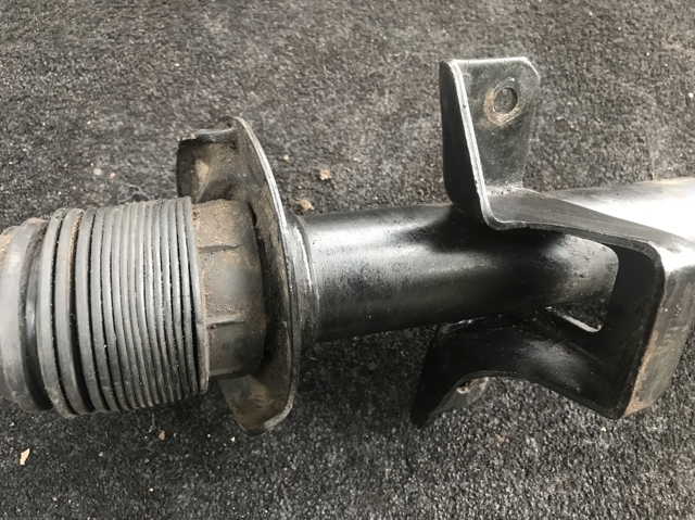 RAISO RS312939 Амортизатор задний в наличии Киев