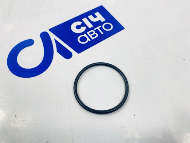 Уплотнительное кольцо впускного коллектора 0139970045 MERCEDES