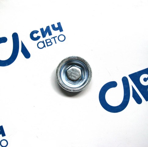 Заглушка блока цилиндров 0210099 TRUCKTEC