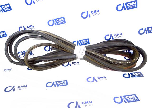 MERCEDES 9066976298 Уплотнитель двери задней (на кузове) в наличии Хмельницкий