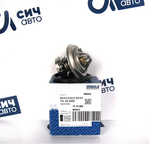 Водяная помпа термостата Mercedes Vito 1