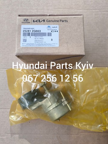 Роликовий модуль натяжителя ремня 252812G663 HYUNDAI