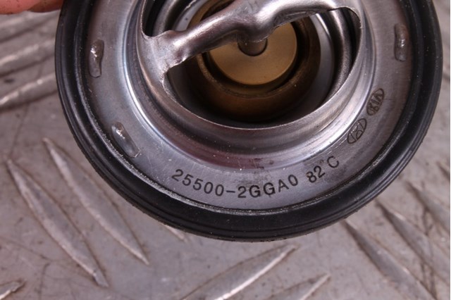 255002GGA0 HYUNDAI Термостат купить в Ужгород