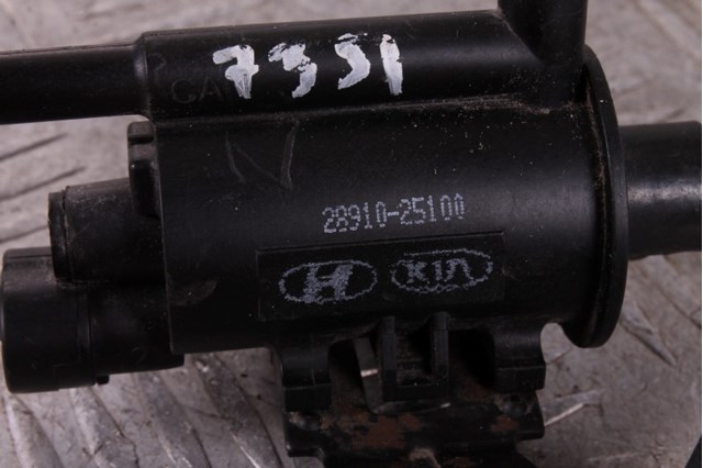 2891025100 HYUNDAI Клапан продувки катализатора купить в Каменское