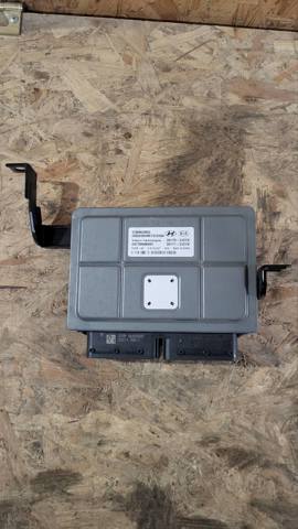 391712JCC6 Блок ECU компьютер двигателя Hyundai Elantra 21-23