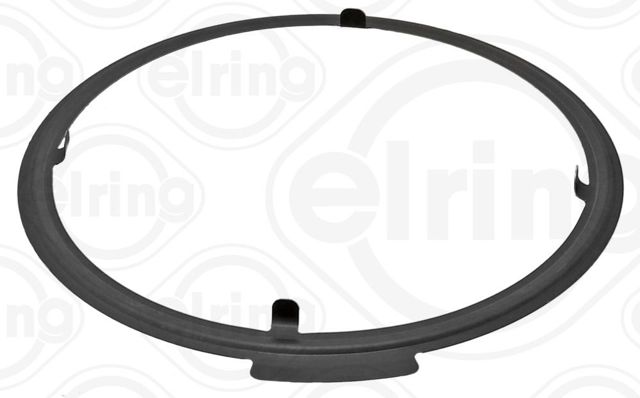 ELRING 005250 в наличии Павлоград