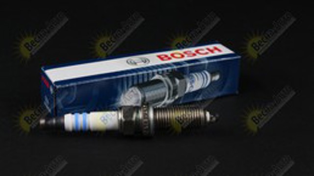BOSCH 0242135529 Свечи зажигания в наличии Черкассы