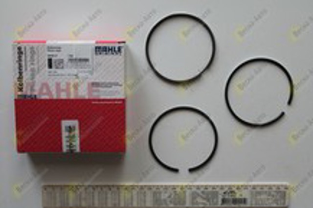 MAHLE 03020N0 Кольца поршневые на 1 цилиндр, STD. в наличии Ирпень