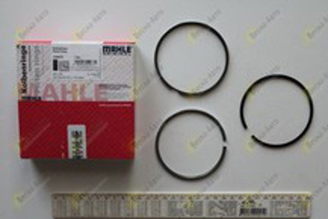 MAHLE 03048N0 Кольца поршневые на 1 цилиндр, STD. в наличии Житомир