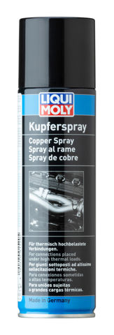 1520 LIQUI MOLY купить в Житомир