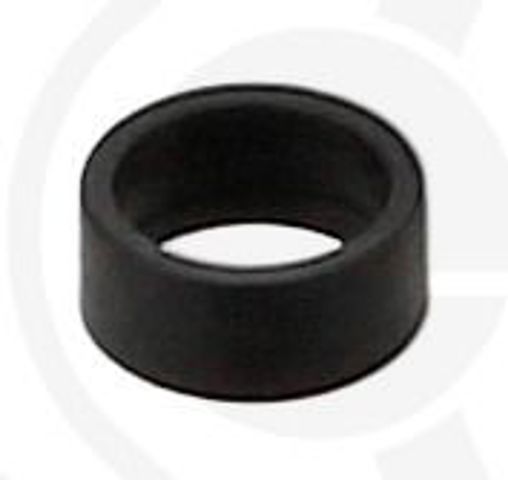 Seal ring, injector 456900