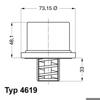 Термостат отключающий клапан 461980 WAHLER