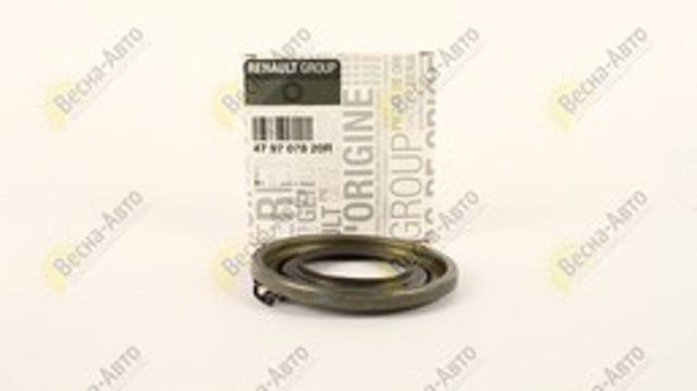 479707820R RENAULT Тормозные диски купить в Ирпень