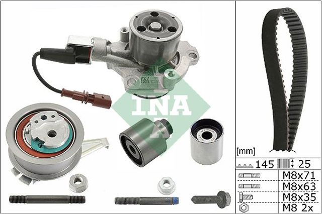 INA 530065030 Комплект ГРМ в наличии Днепр