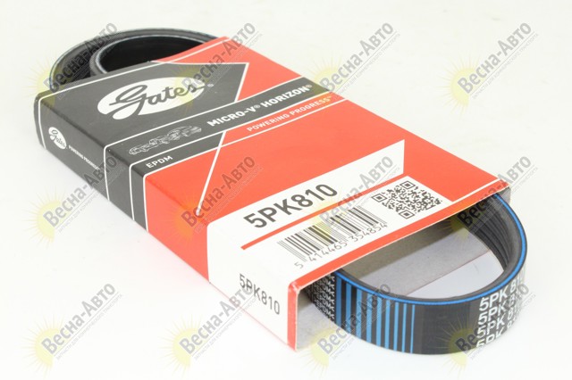 5PK810 Ремень агрегатов приводной купить Сумы