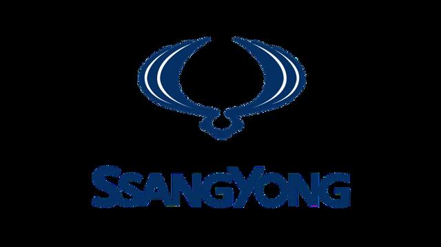 Сідло клапана впускного ssangyong rexton 01-06, ssangyong kyron 05-11, ssangyong actyon 06-11 6640530032