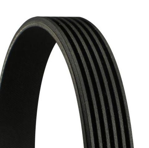 6PK1019ELAST CONTINENTAL Ремень генератора купить в Ровно