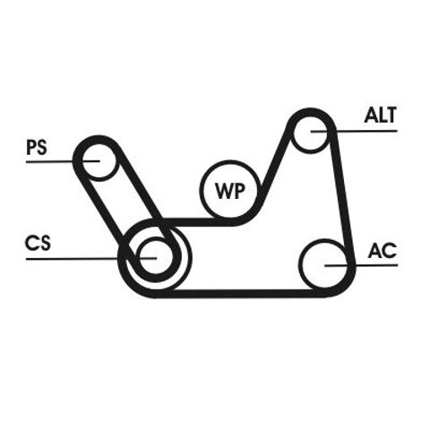 Ремень агрегатов приводной, комплект 6PK1019ELASTT1 CONTINENTAL