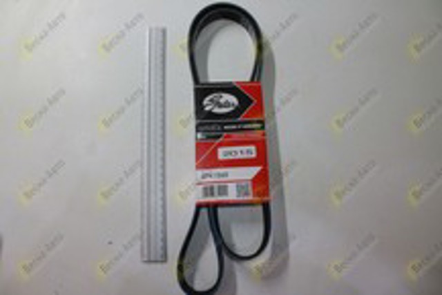 Ремень кондиционера 6PK1560 GATES