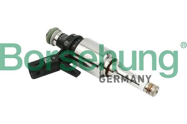 Форсунки B16924 BORSEHUNG