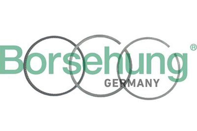 BORSEHUNG B19035 Комплект поршневых колец на 1 цилиндр, стандарт в наличии Ровно