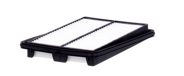 C25040 MANN Воздушный фильтр купить в Ужгород