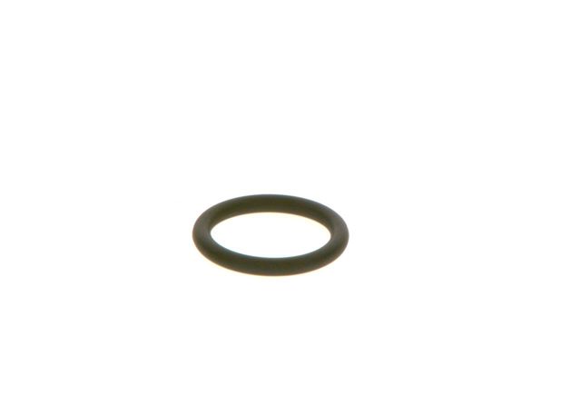 BOSCH F00RJ01605 в наличии Винница