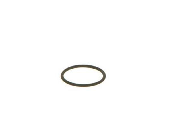 BOSCH F00VC38002 Кольцо форсунки в наличии Полтава