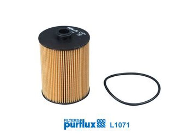 PURFLUX L1071 Фильтр масляный в наличии Павлоград