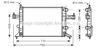 Радиатор системы охлаждения двигателя OLA2303 AVA
