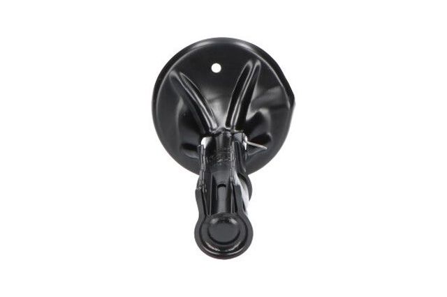 KAVO PARTS SSA5530 Амортизатор передний в наличии Черновцы