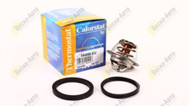 Термостат в сборе TH489887J VERNET