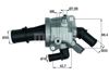 Водяная помпа термостата TI16488 MAHLE