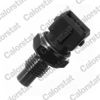 Датчик температуры жидкости WS2582 VERNET