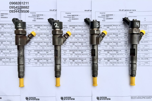 RENAULT 0445110146 Топливные форсунки в наличии Житомир