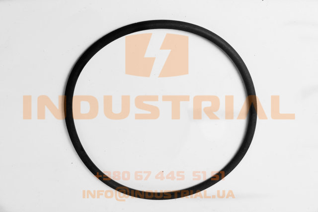 17290781 IVECO купить в Винница