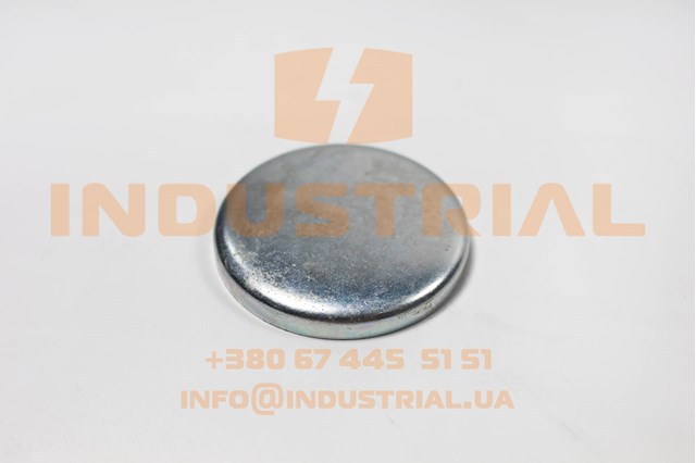 Заглушка блока цилиндров 4895038 IVECO
