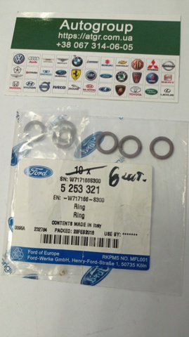 Уплотнительное кольцо штуцеров рулевой рейки W717166S300 FORD