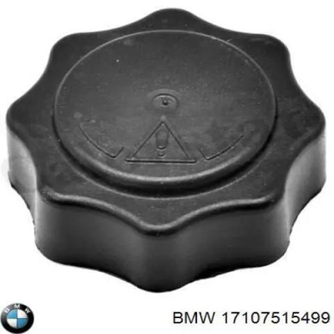 Крышка бачка 17107515499 BMW