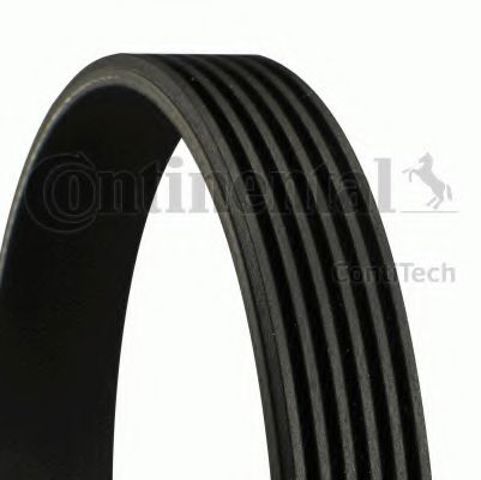 6PK1256 CONTINENTAL Ремень генератора купить в Хмельницкий