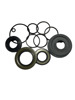 Ремкомплект рейки з гпк peugeot partner 96-08, 306 93-02; citroen berlingo 96-08, xsara 00-06, xsara 97-00, zx 92-98 CI9004KIT