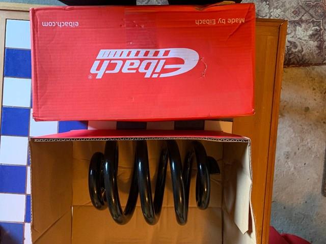 R10051 Задняя пружина купить Павлоград