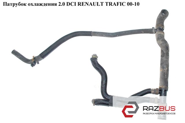 215034648R RENAULT Нижний шлаг радиатора охлаждения купить в Украина