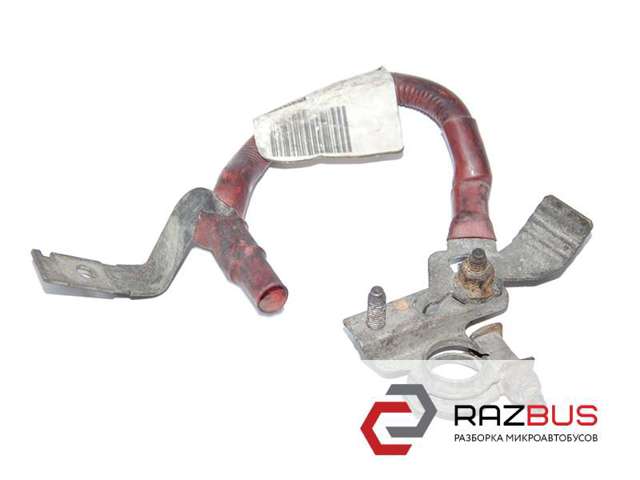 243867980R RENAULT купить в Ужгород